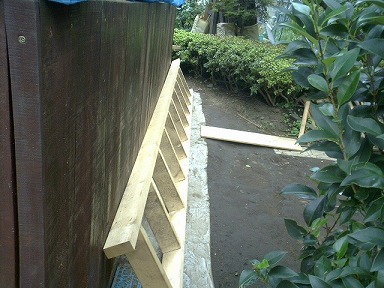 ながーーぃハシゴ