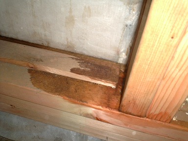 これじゃ腐っちゃう