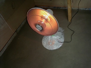 あまりにも寒いので