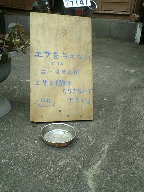 コハル用おちゃわん