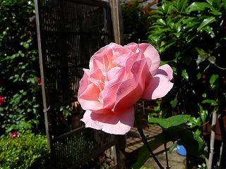 はぐら茶屋周囲30m以内の写真です。リロードで画像が切り替わります。